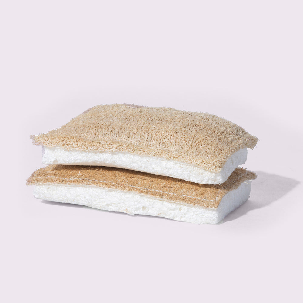 Kitchen Sponge