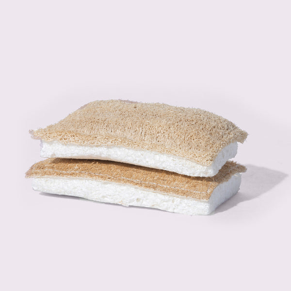 Kitchen Sponge