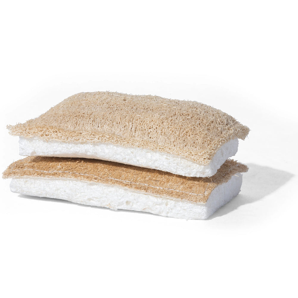 Kitchen Sponge