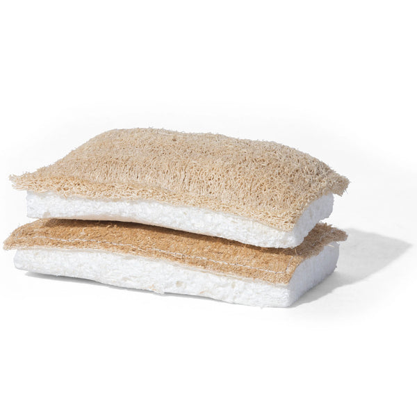 Kitchen Sponge